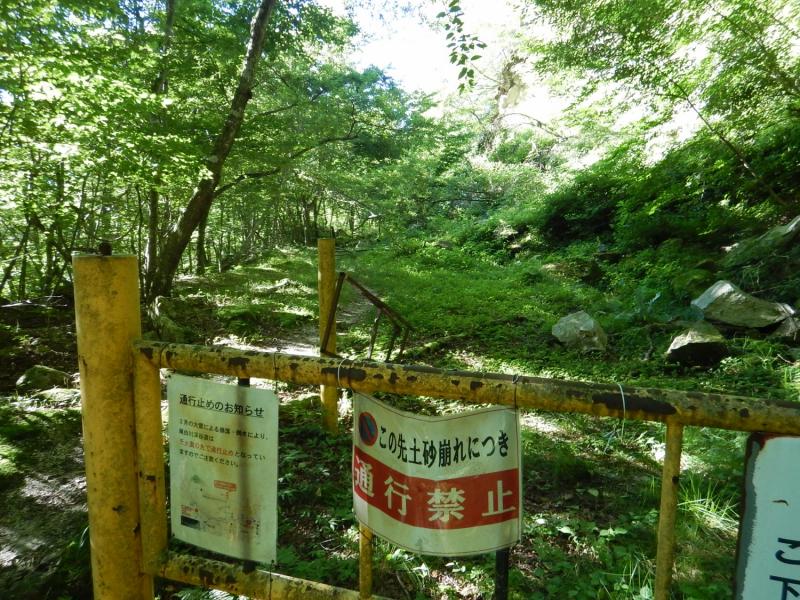 錦滝を過ぎるとゲート。林道歩きのイメージとはかけ離れた林道です。